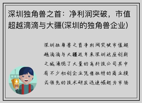 深圳独角兽之首：净利润突破，市值超越滴滴与大疆(深圳的独角兽企业)